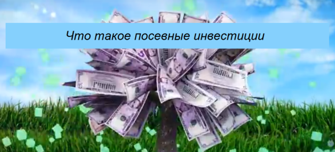 Посевные инвестиции это