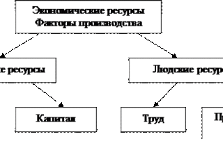 Особенности рынков факторов производства