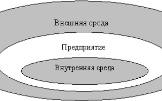 Анализ внешней и внутренней бизнес среды