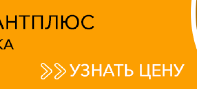 Работа по совместительству муниципального служащего