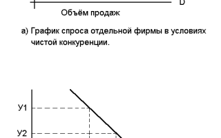 Характеристика рынка чистой конкуренции